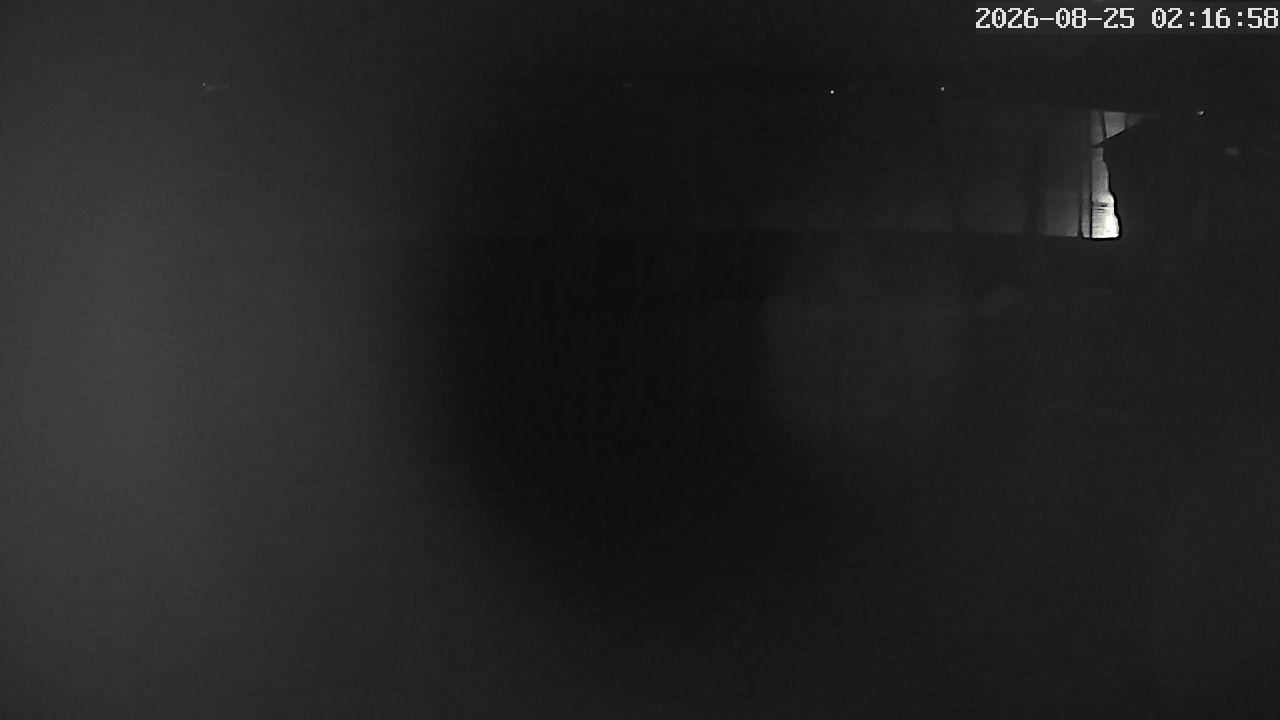 MRSV Bayern Webcam