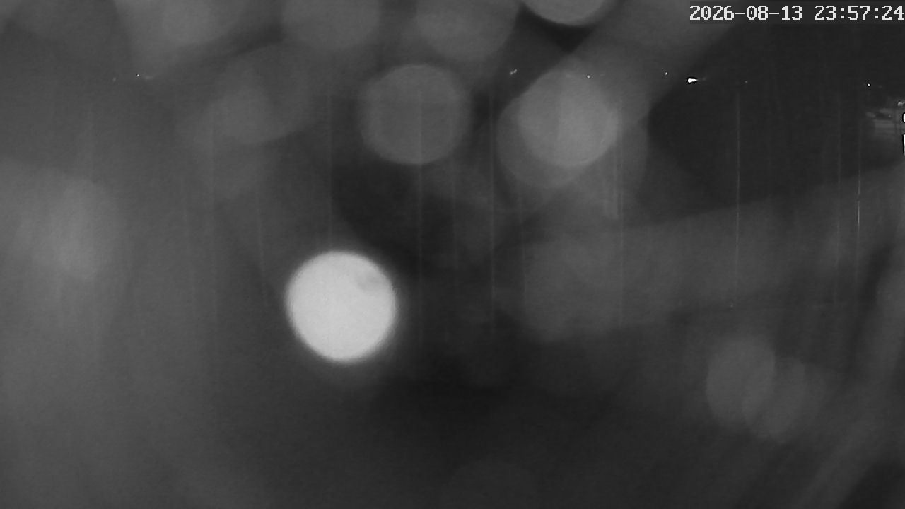 MRSV Bayern Webcam