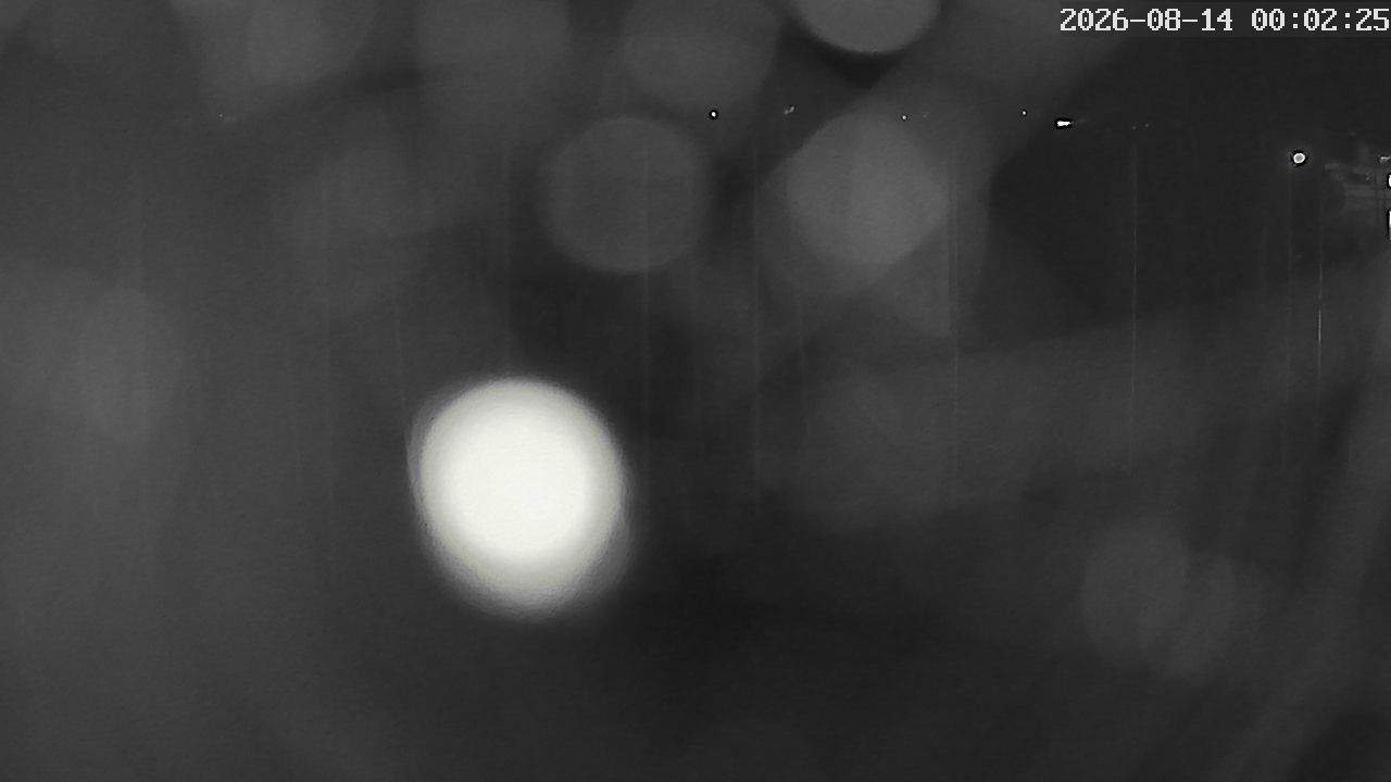 MRSV Bayern Webcam
