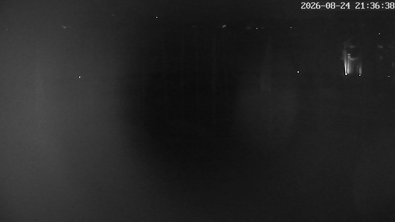 MRSV Bayern Webcam