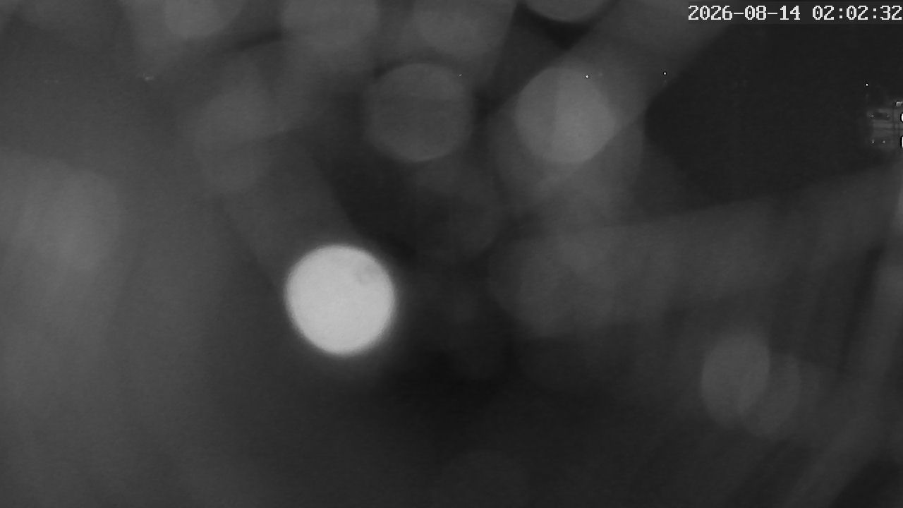 MRSV Bayern Webcam