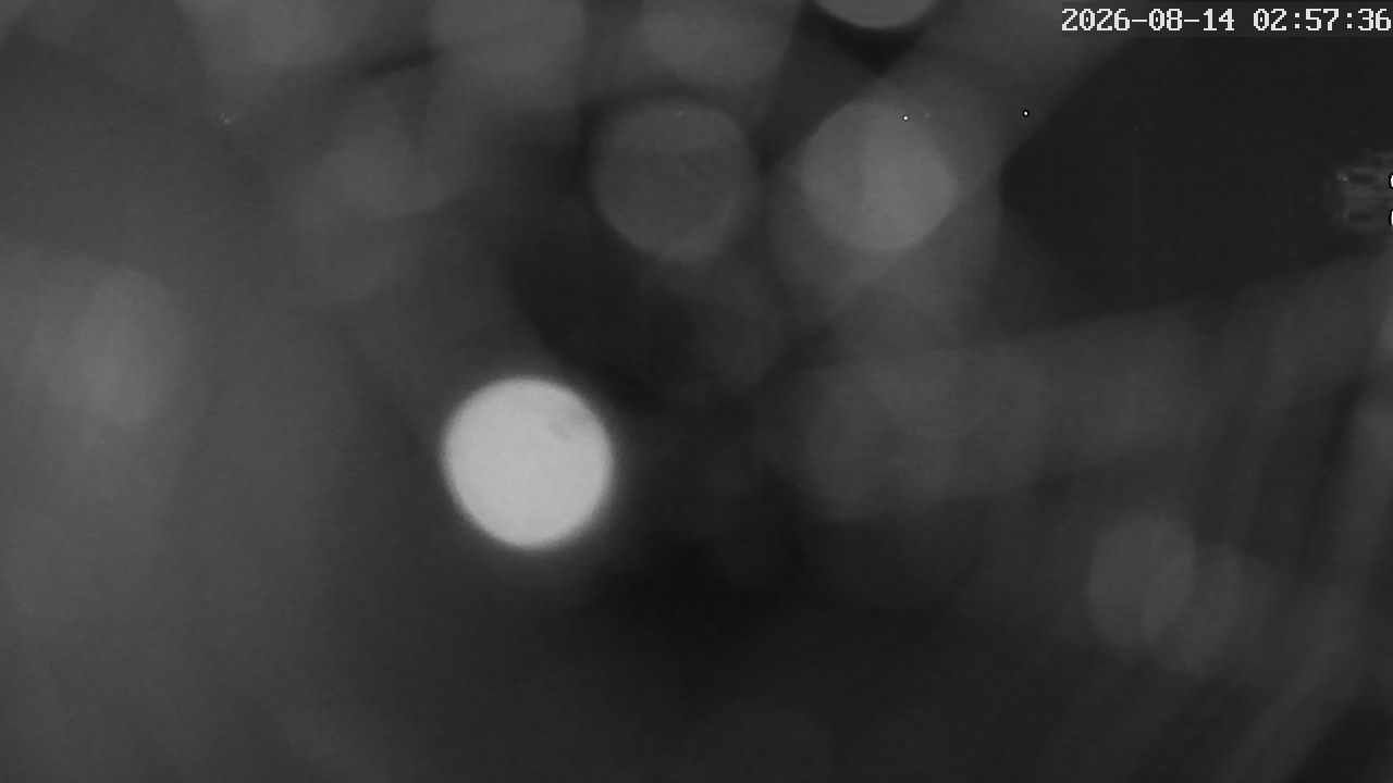 MRSV Bayern Webcam