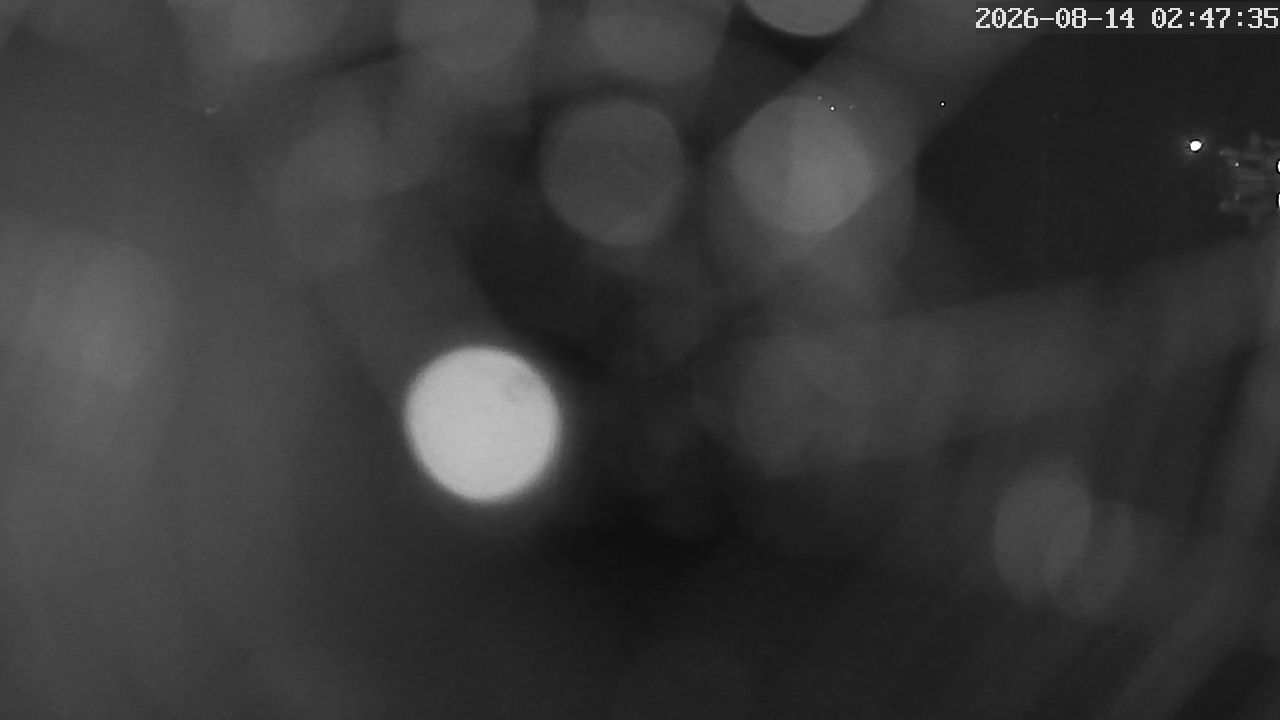 MRSV Bayern Webcam