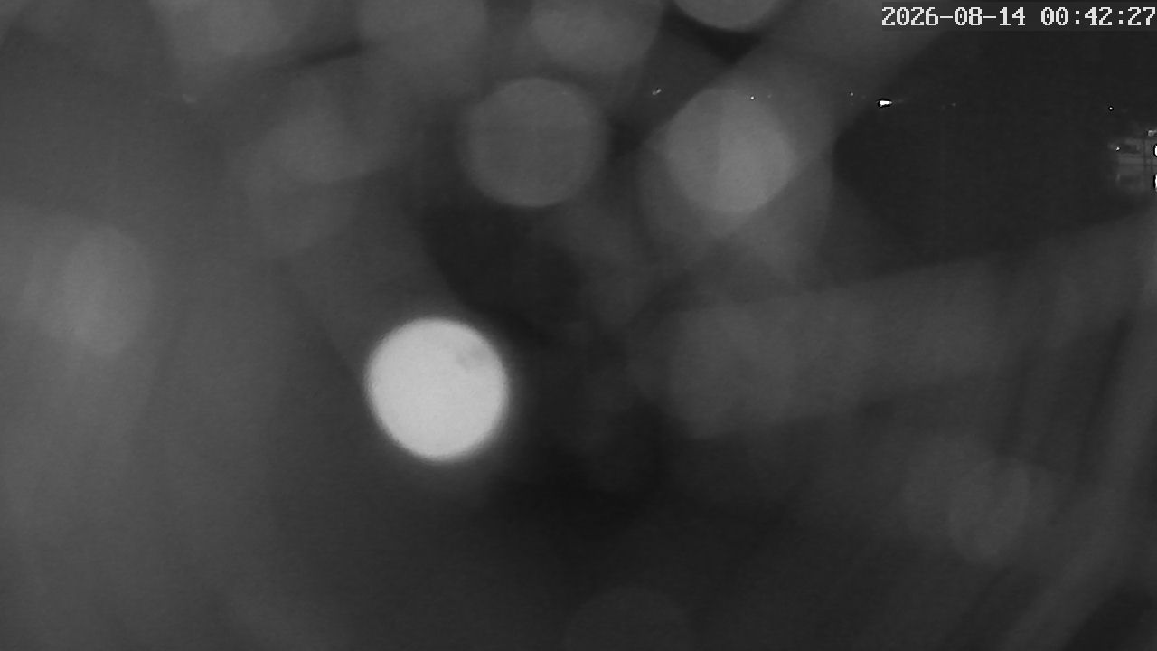 MRSV Bayern Webcam