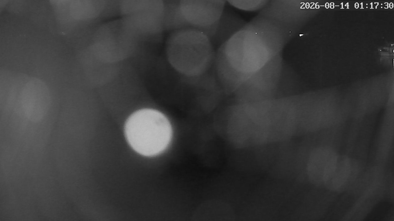 MRSV Bayern Webcam
