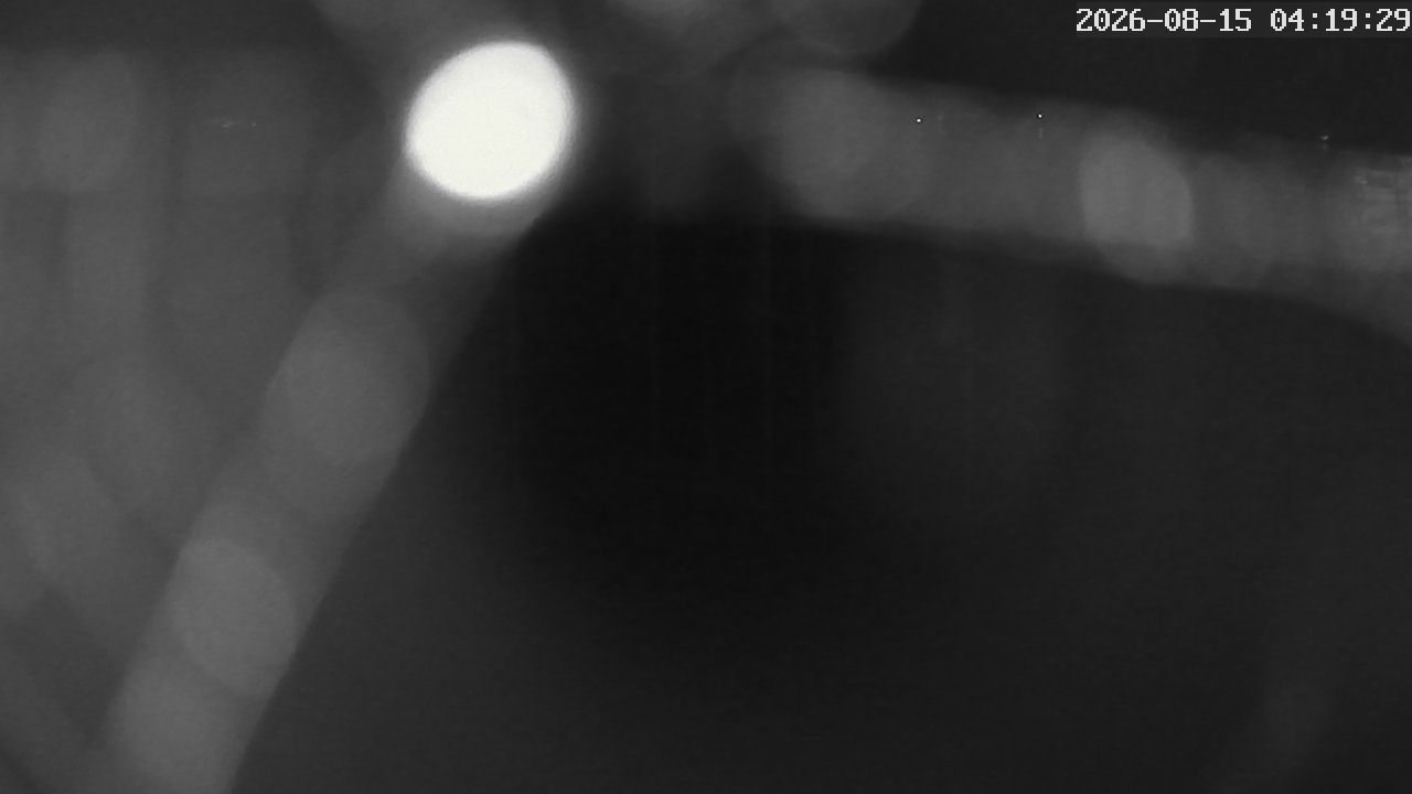 MRSV Bayern Webcam