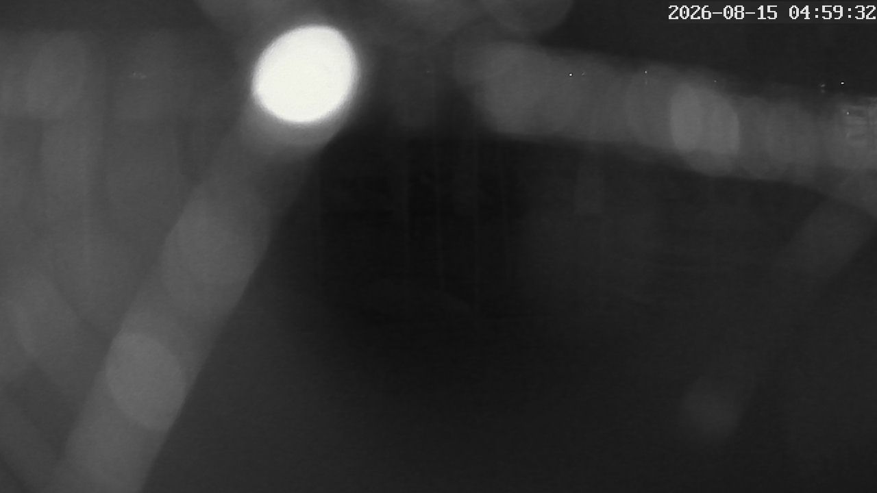MRSV Bayern Webcam