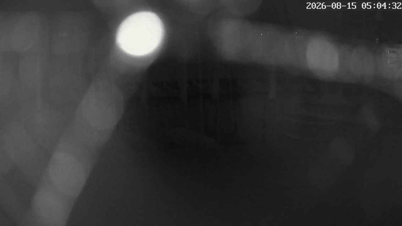 MRSV Bayern Webcam
