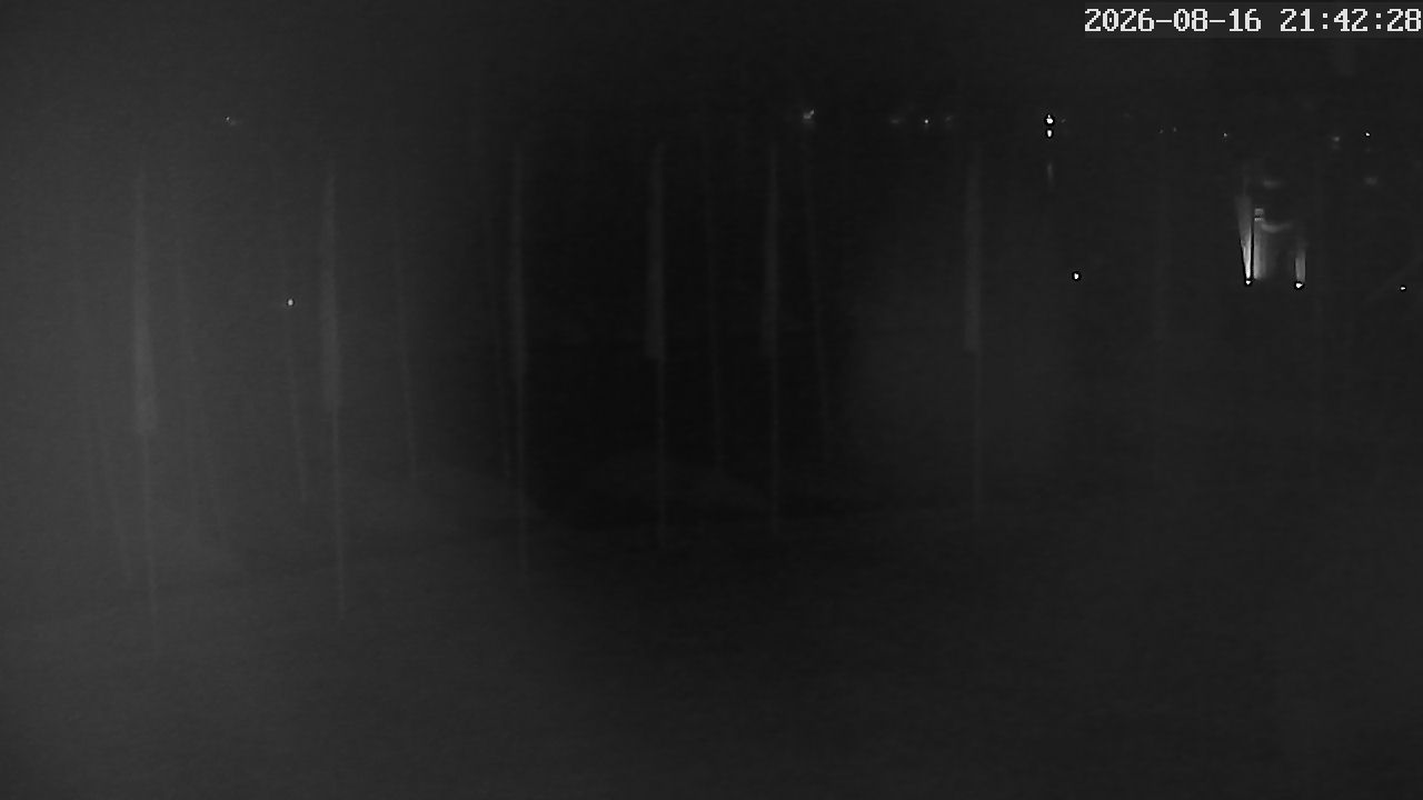MRSV Bayern Webcam