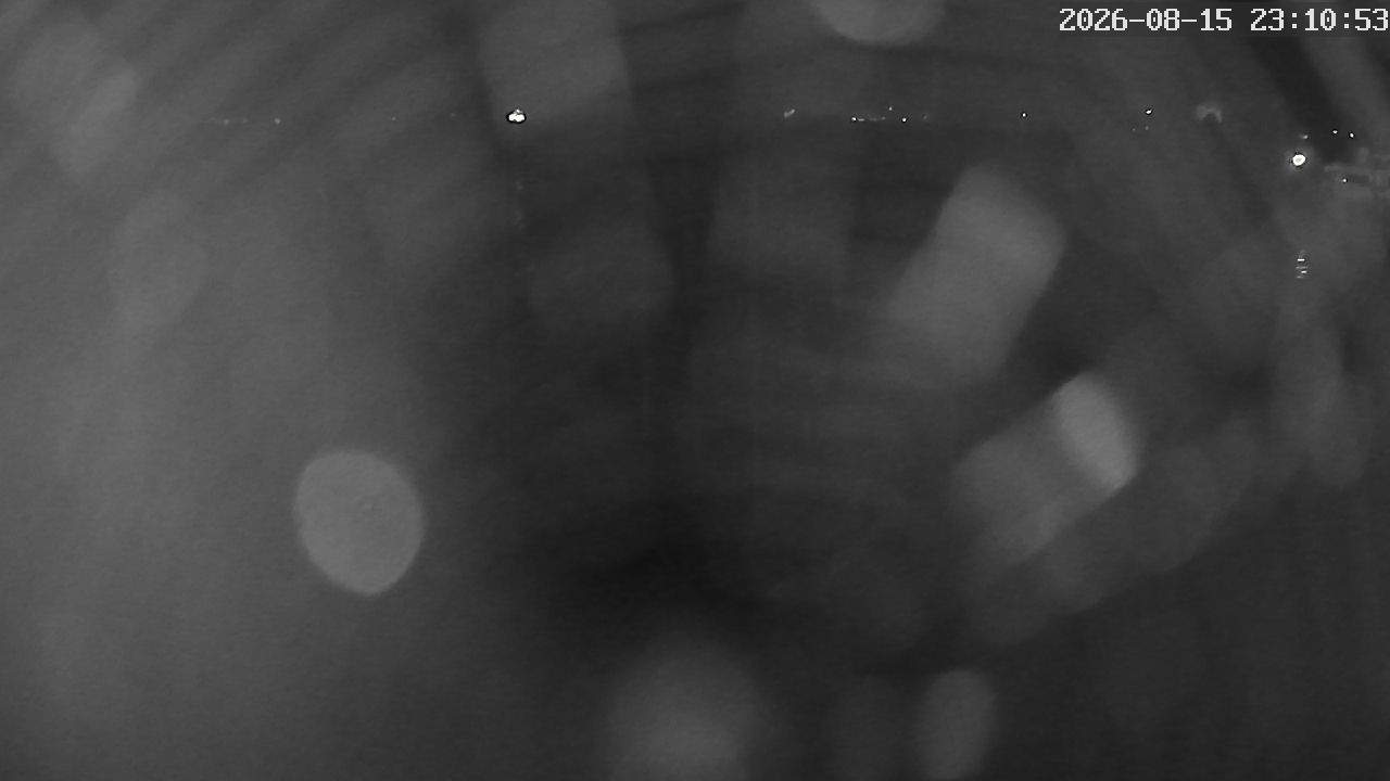 MRSV Bayern Webcam