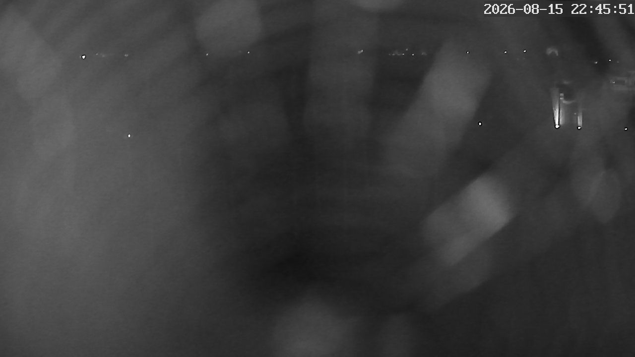 MRSV Bayern Webcam