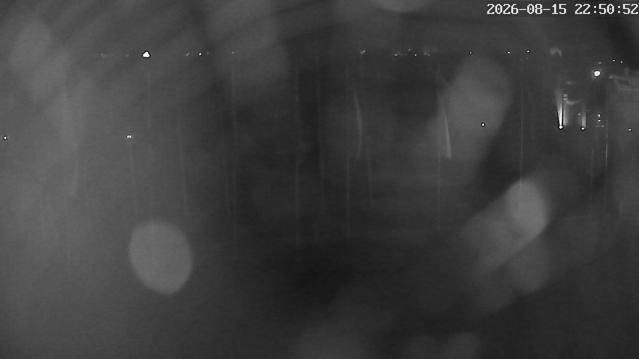 MRSV Bayern Webcam