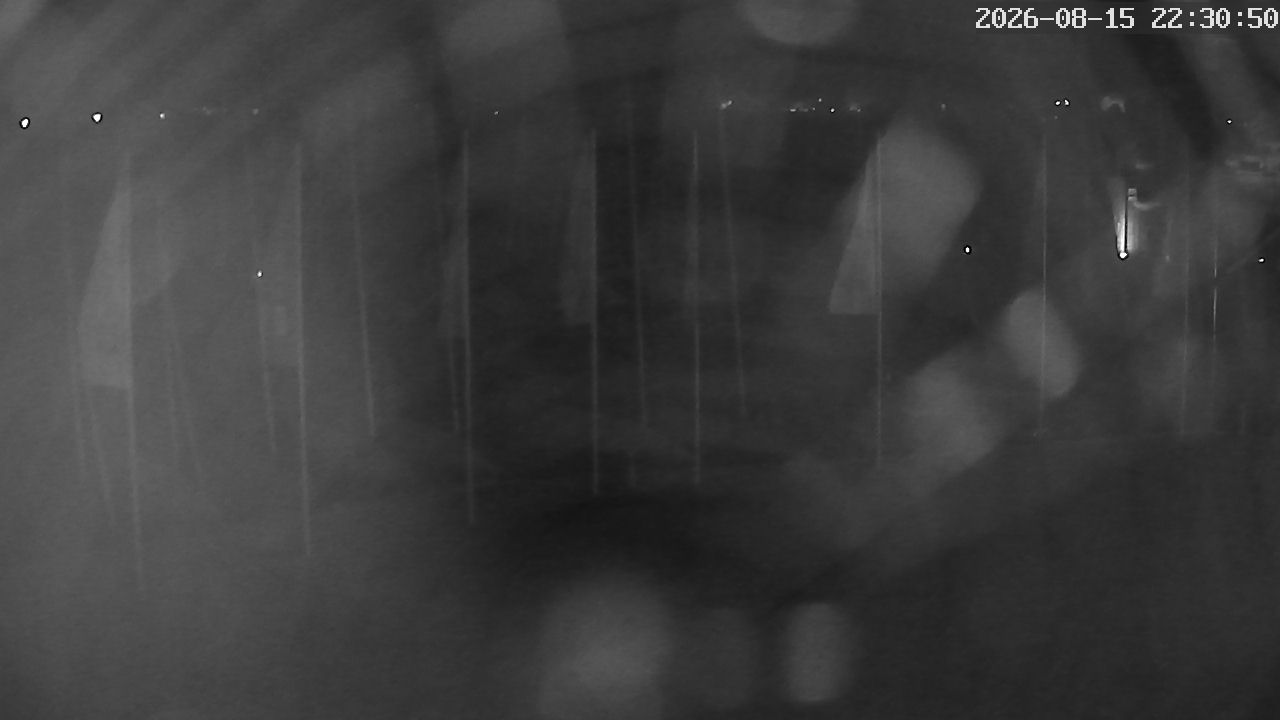MRSV Bayern Webcam