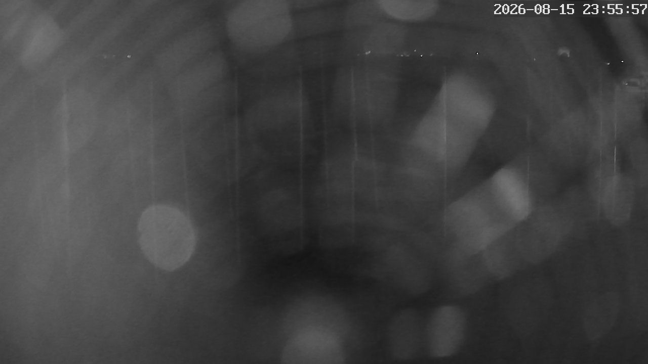 MRSV Bayern Webcam