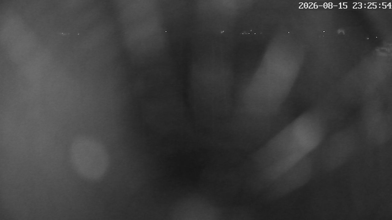 MRSV Bayern Webcam
