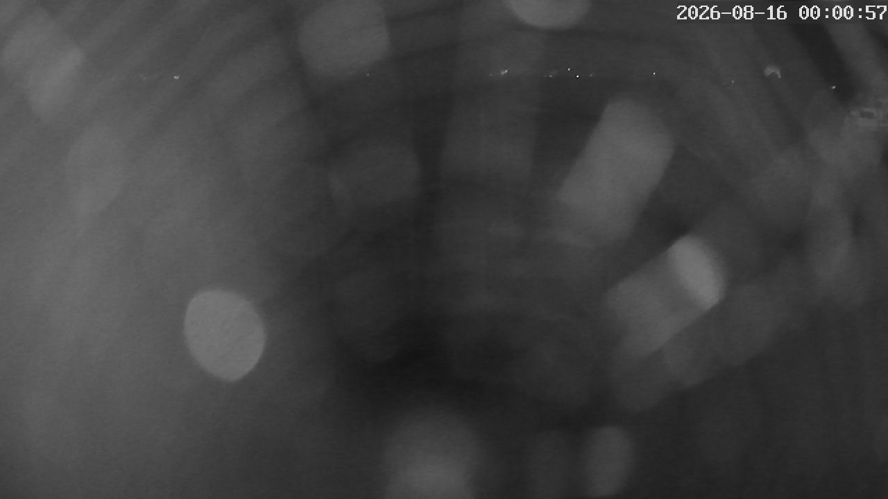 MRSV Bayern Webcam