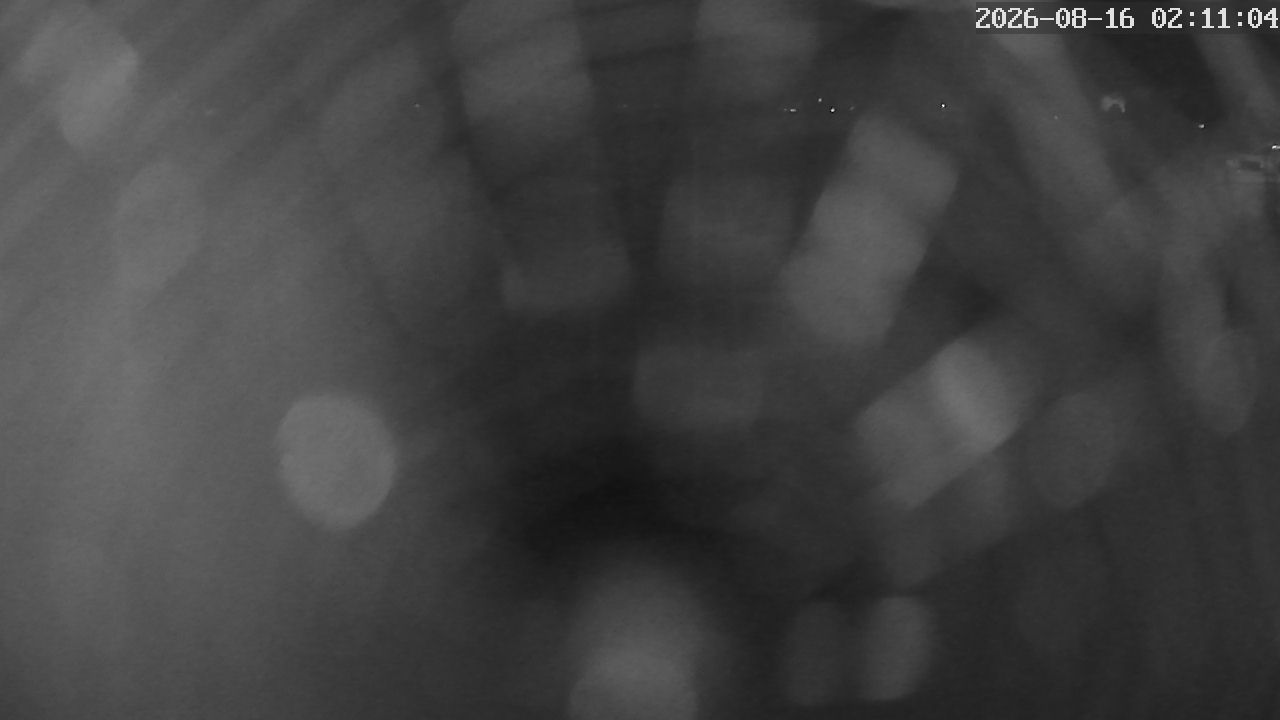 MRSV Bayern Webcam