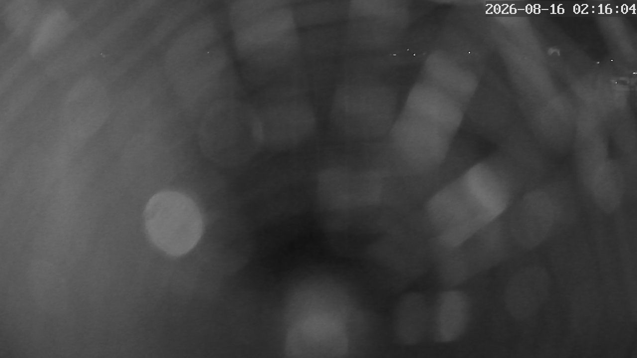 MRSV Bayern Webcam