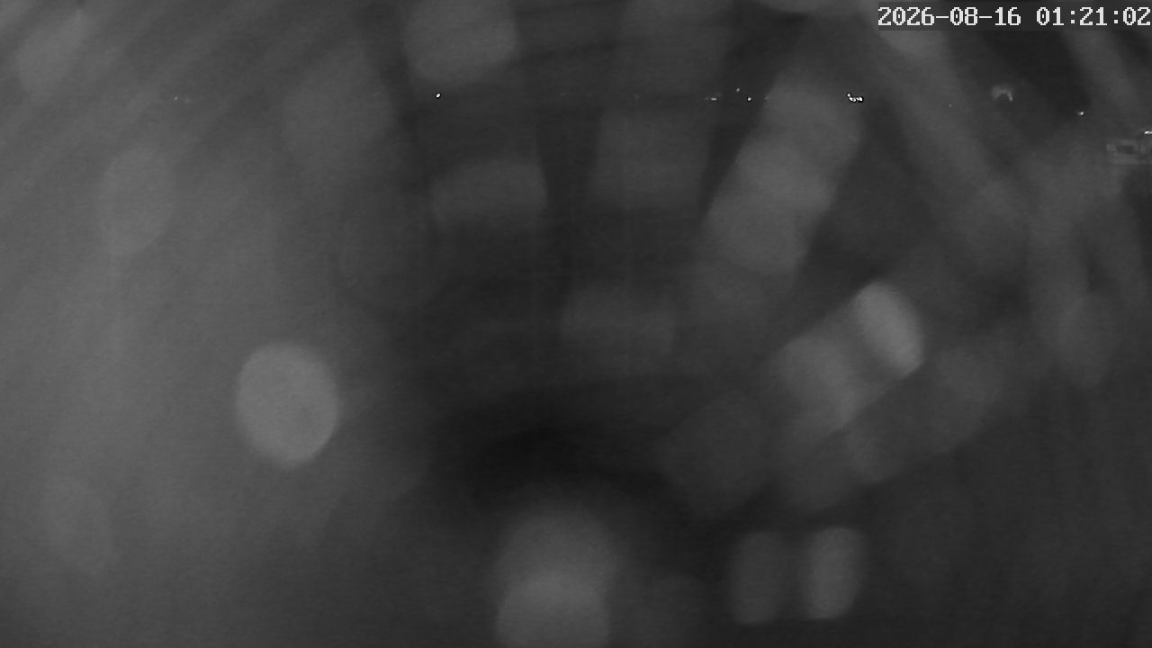 MRSV Bayern Webcam