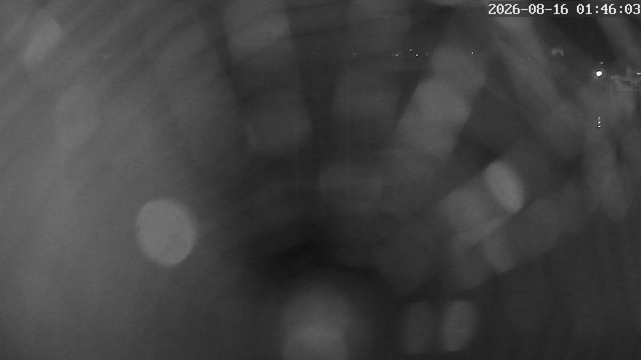 MRSV Bayern Webcam