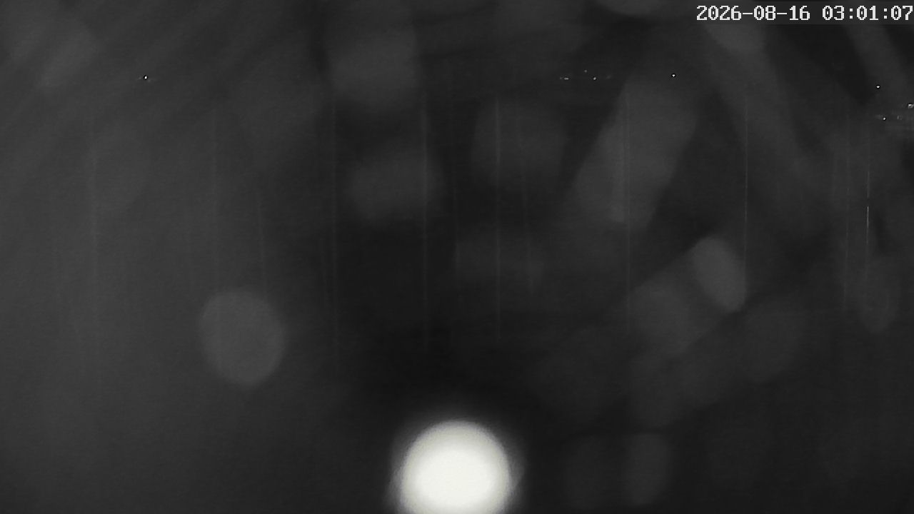 MRSV Bayern Webcam