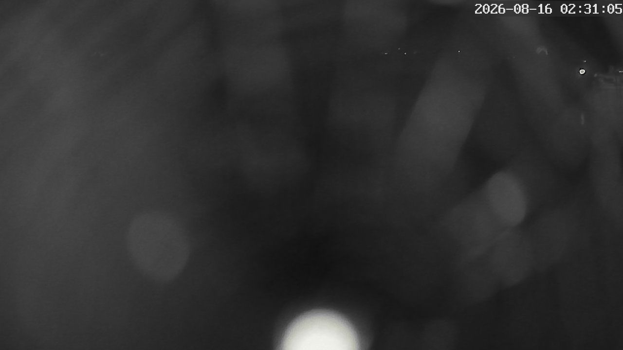MRSV Bayern Webcam