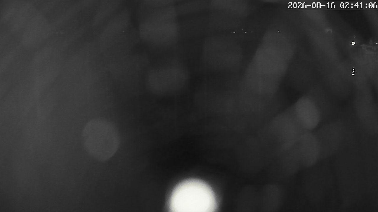 MRSV Bayern Webcam