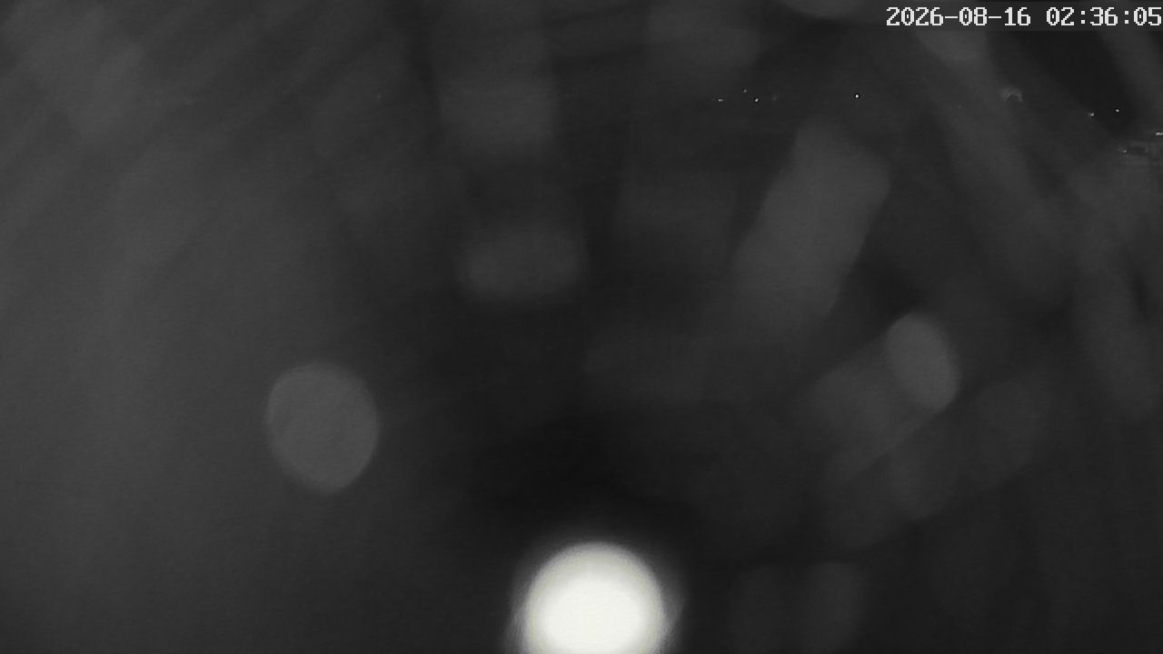 MRSV Bayern Webcam
