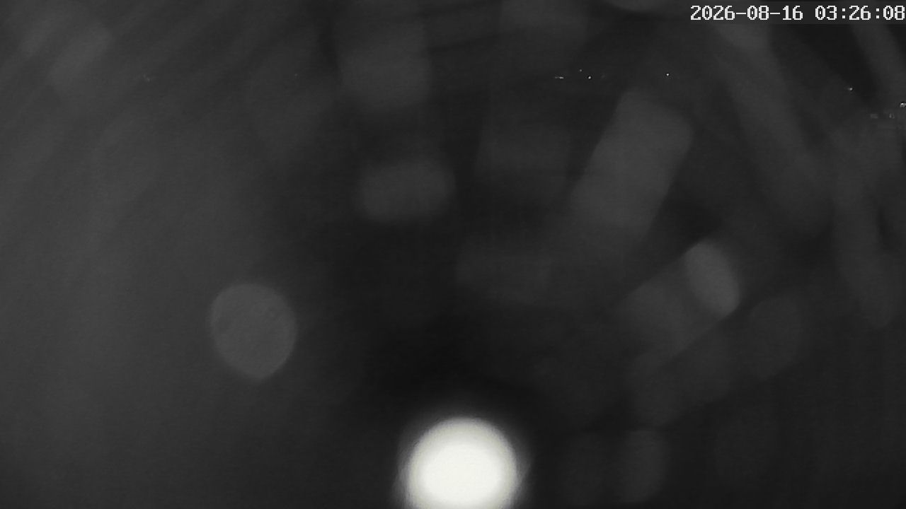 MRSV Bayern Webcam
