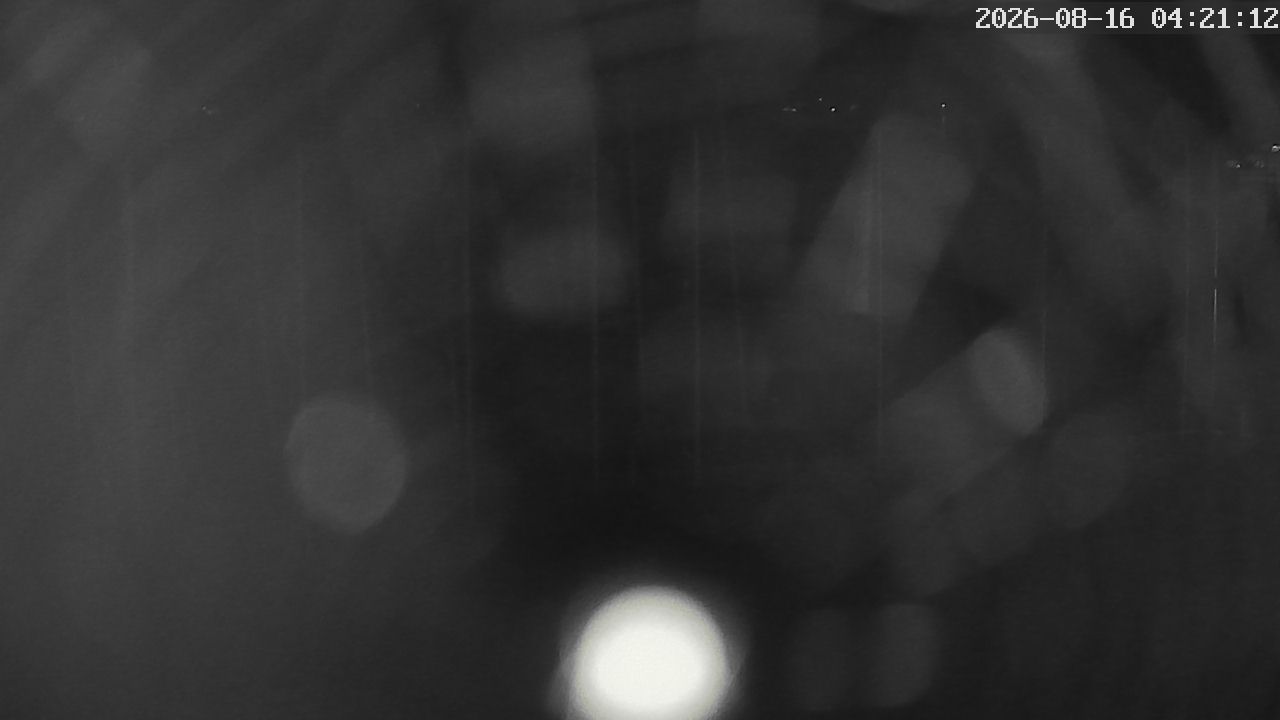 MRSV Bayern Webcam