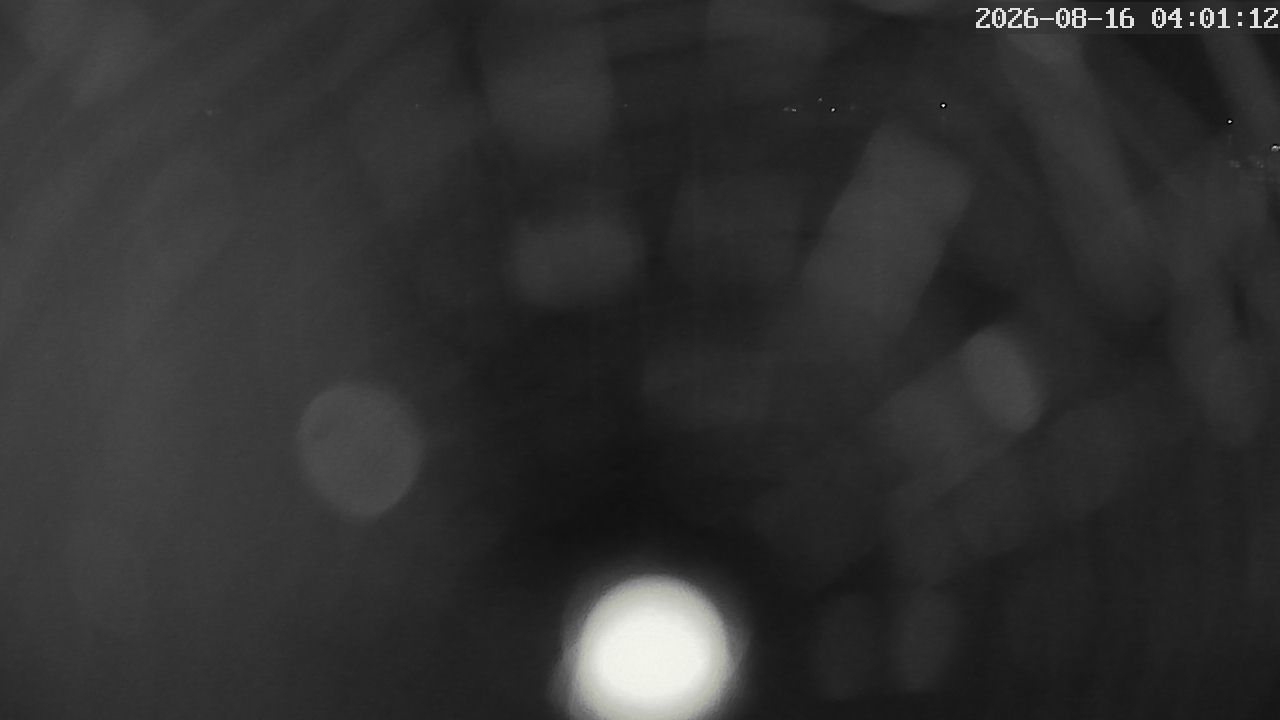 MRSV Bayern Webcam