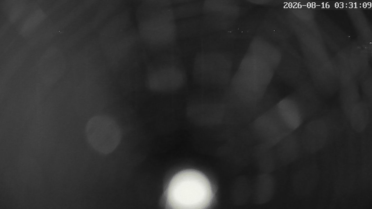 MRSV Bayern Webcam