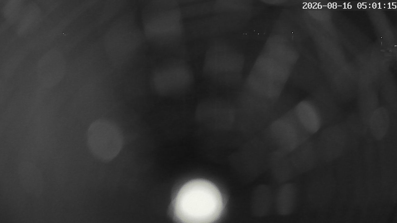 MRSV Bayern Webcam