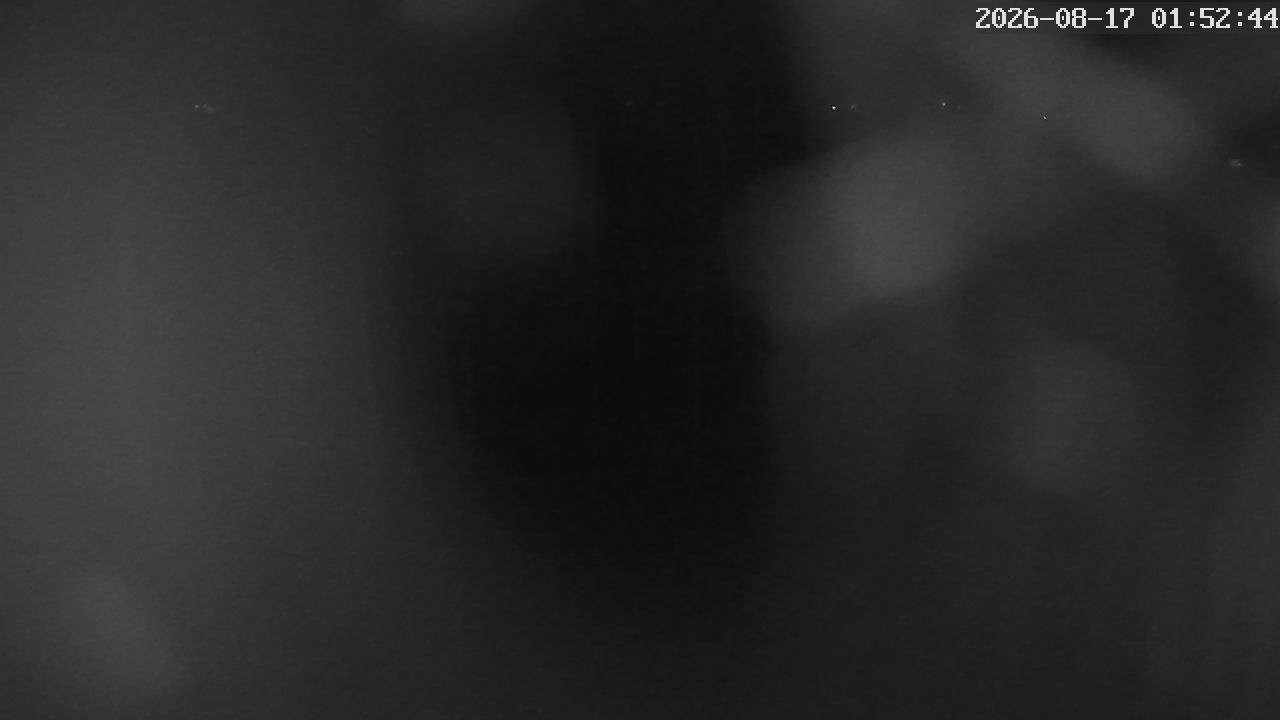 MRSV Bayern Webcam