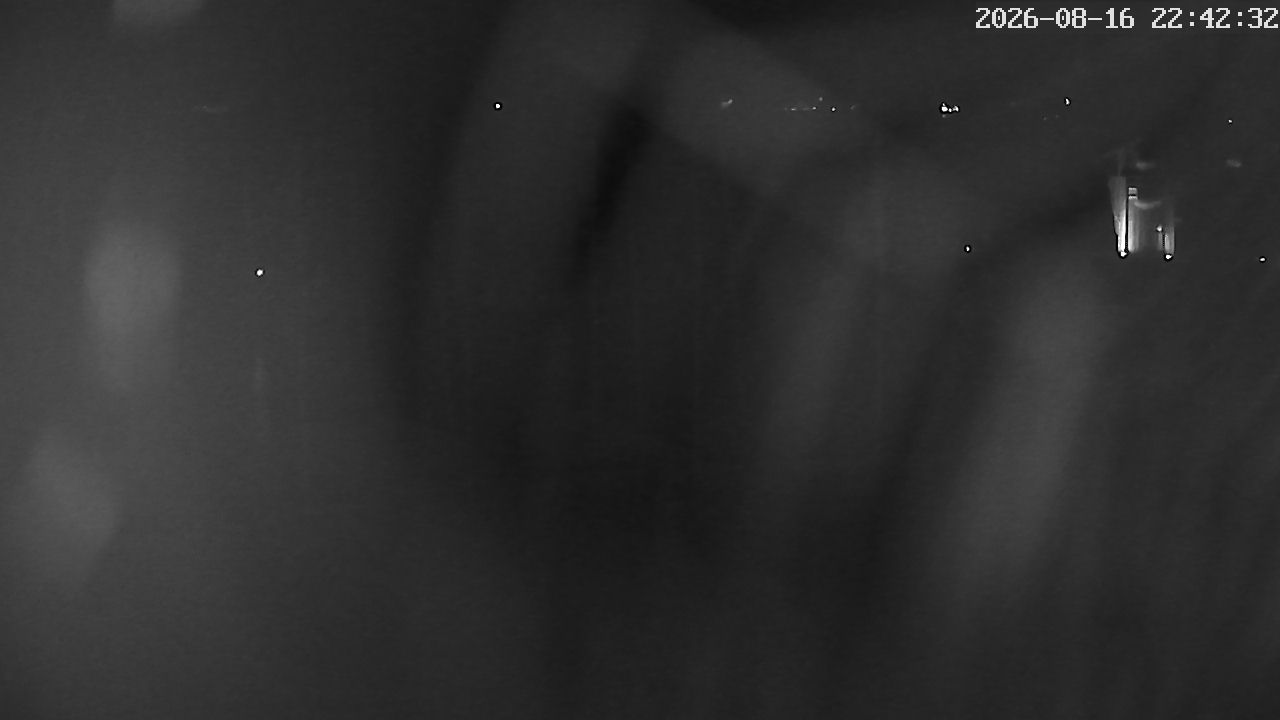 MRSV Bayern Webcam