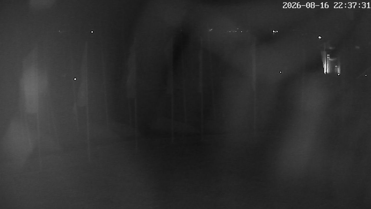 MRSV Bayern Webcam
