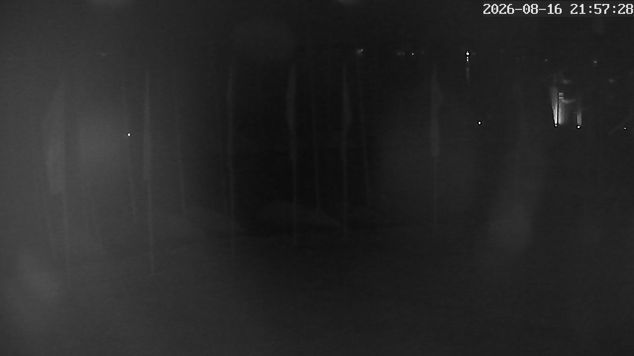 MRSV Bayern Webcam