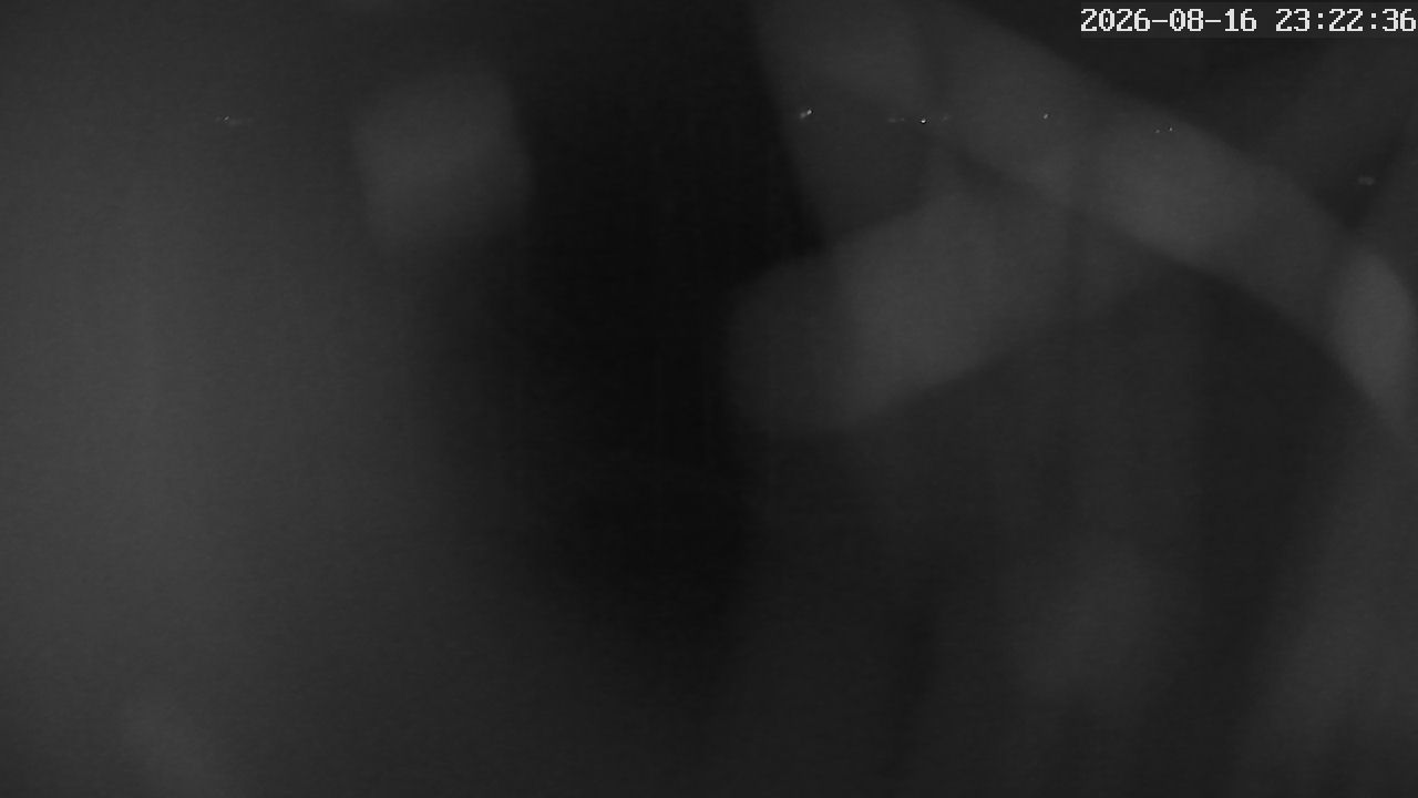 MRSV Bayern Webcam