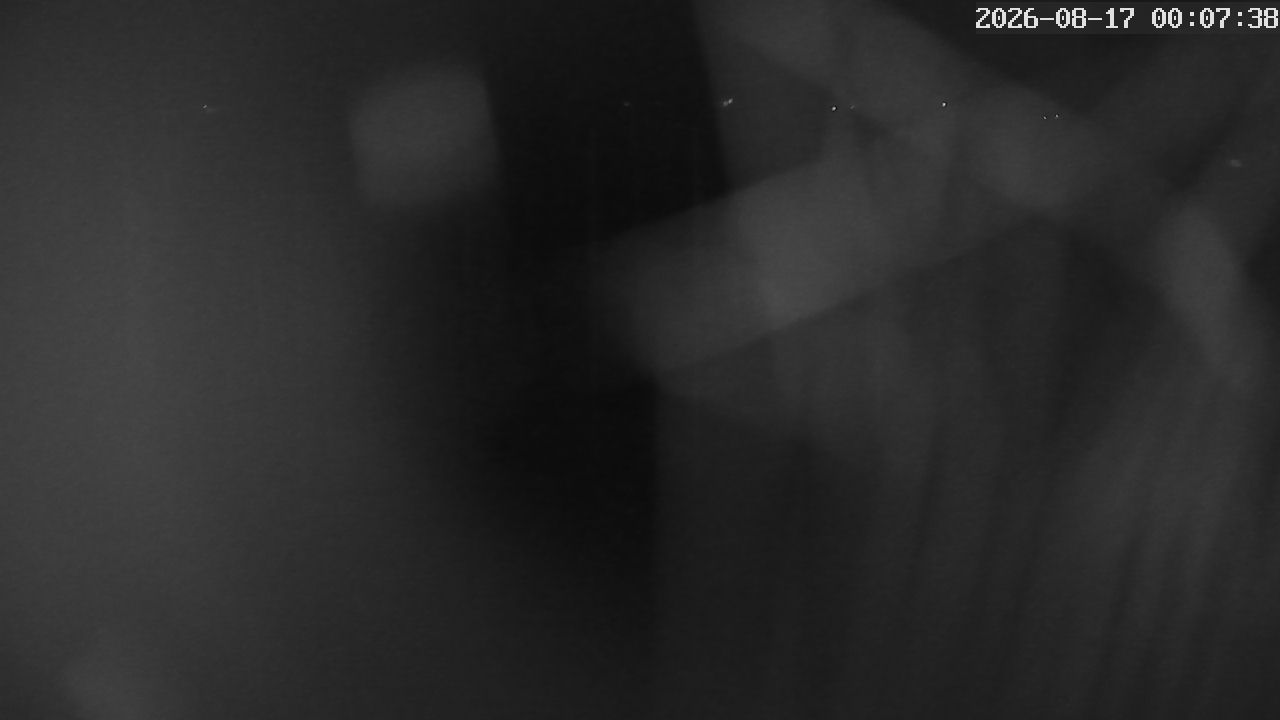 MRSV Bayern Webcam
