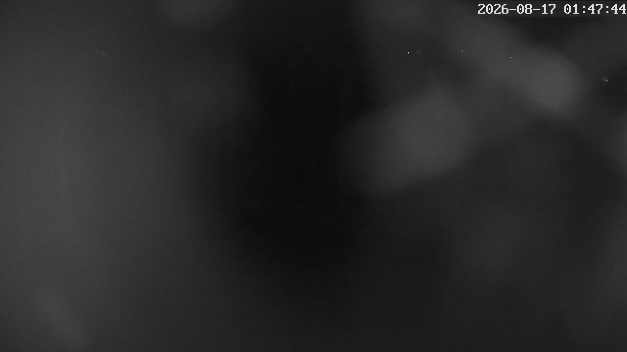 MRSV Bayern Webcam