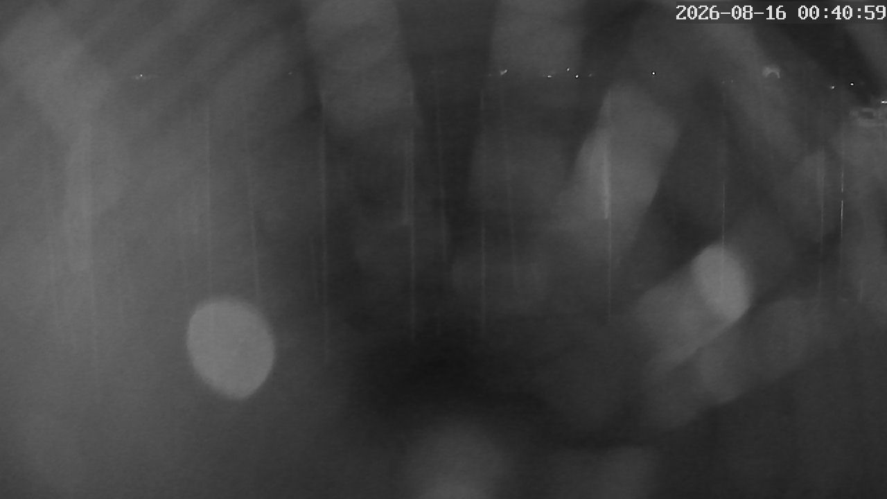 MRSV Bayern Webcam