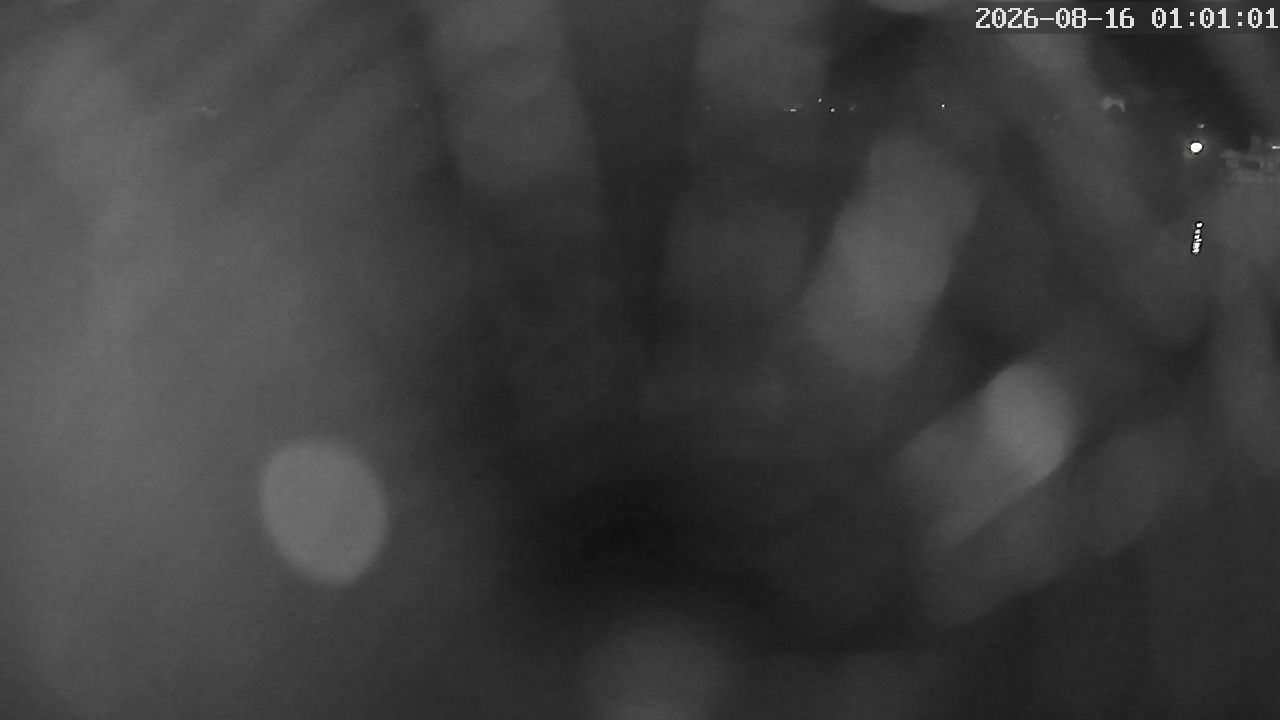 MRSV Bayern Webcam