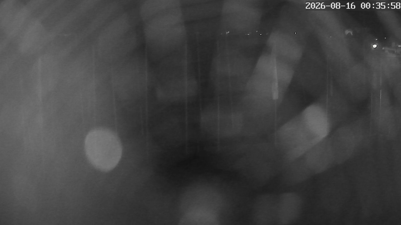 MRSV Bayern Webcam