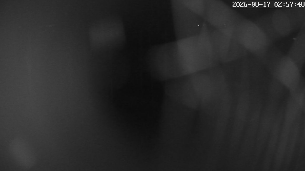MRSV Bayern Webcam