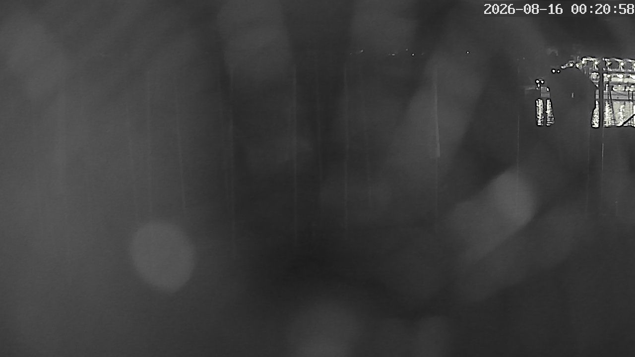 MRSV Bayern Webcam