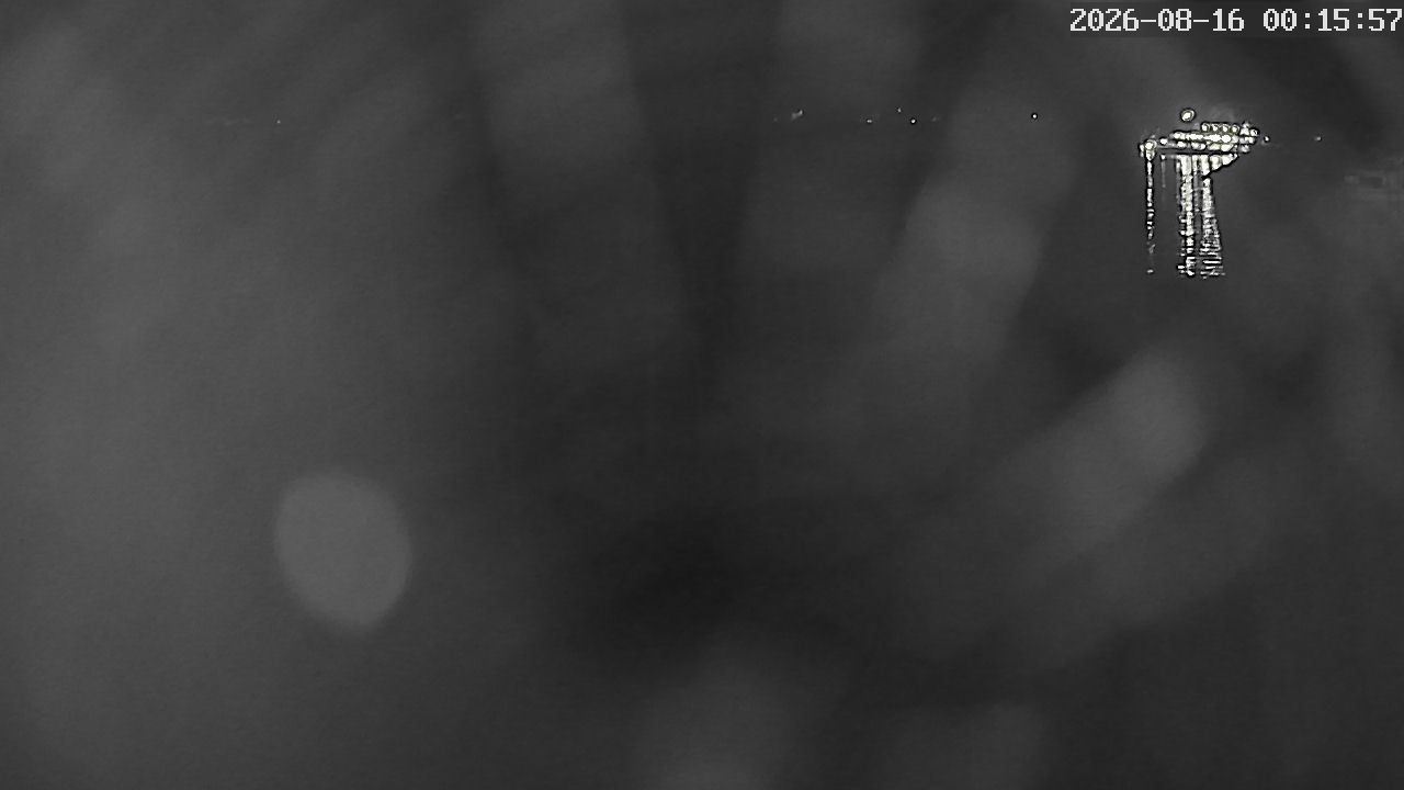 MRSV Bayern Webcam