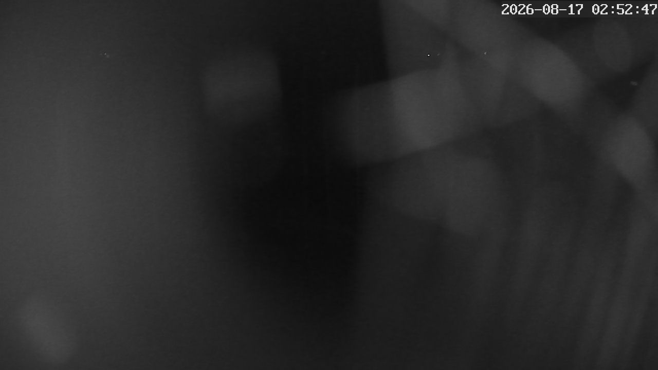 MRSV Bayern Webcam