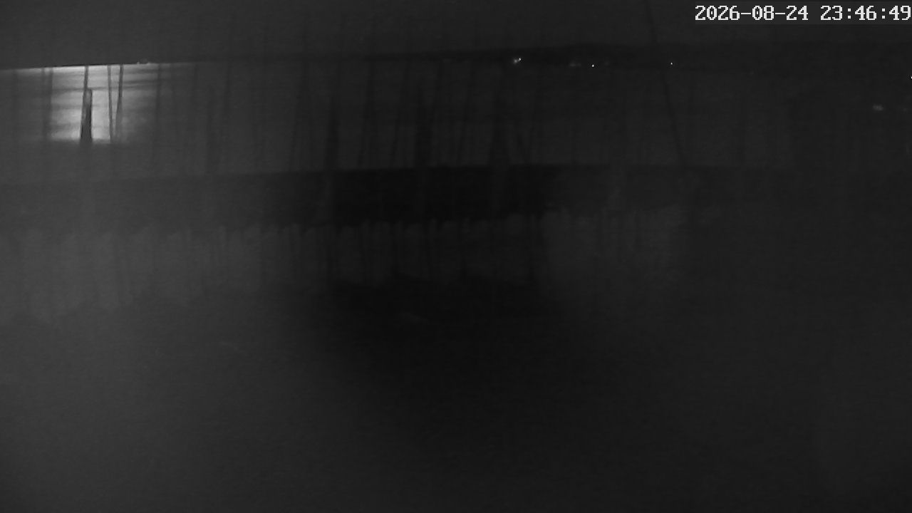 MRSV Bayern Webcam