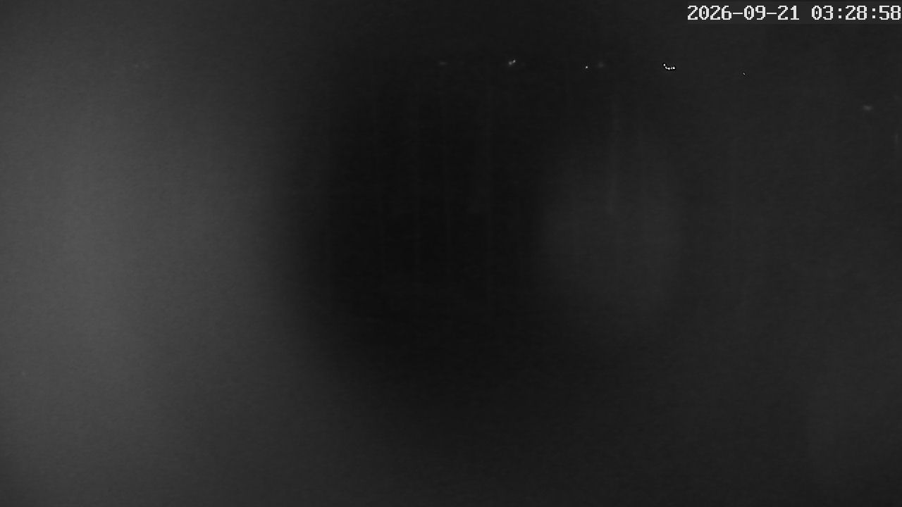 MRSV Bayern Webcam