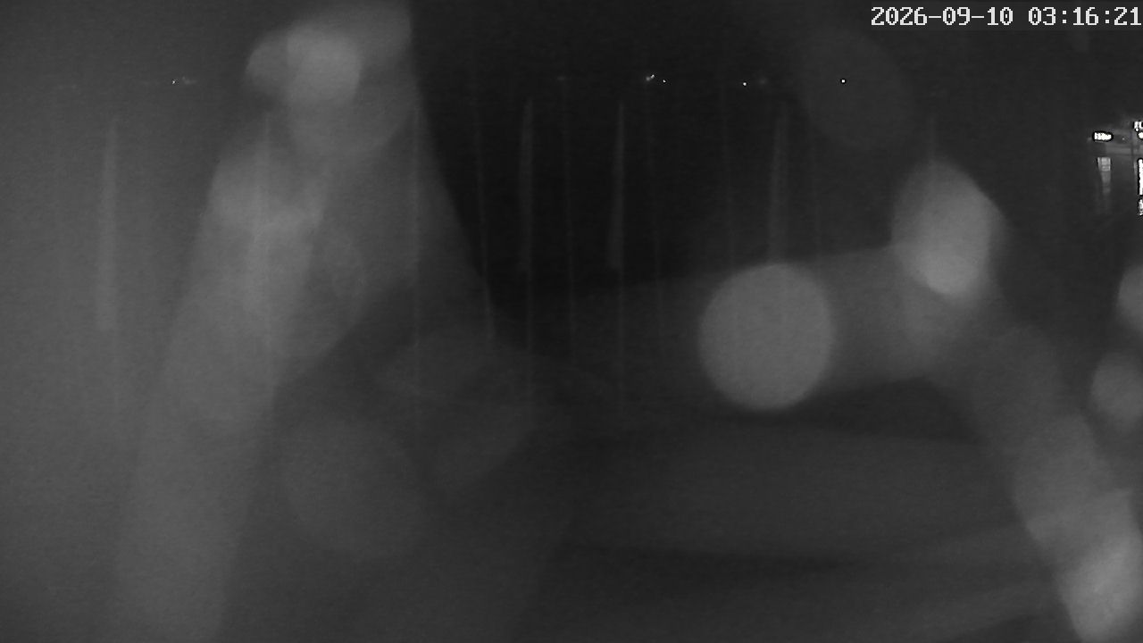 MRSV Bayern Webcam